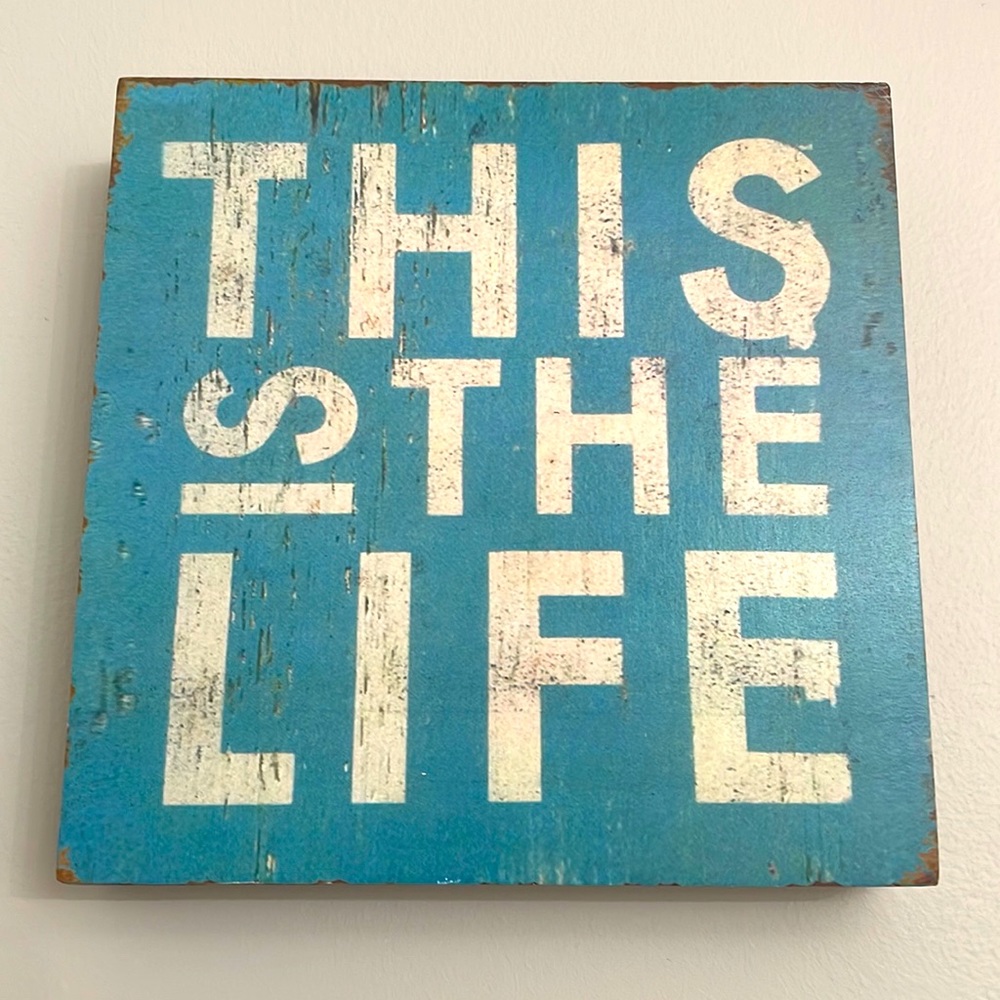 EUC Barnyard Designs Wall Plaque/Shelf Sitter “This Is The Life”